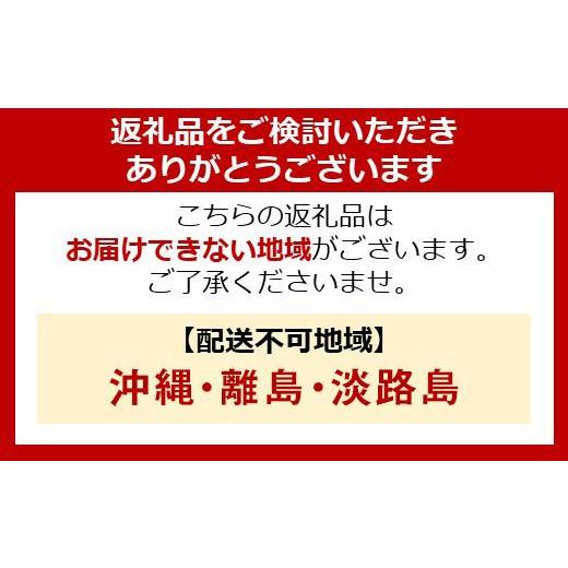 ふるさと納税 宮城県 角田市 冷凍冷蔵庫 296L カメラ付き IRSN-IC30A-W ホワイト 冷凍冷蔵庫 296L 冷蔵庫 冷凍庫 冷蔵室 冷凍室 右開き カメラ付き 自動製氷機…｜furusatochoice｜05