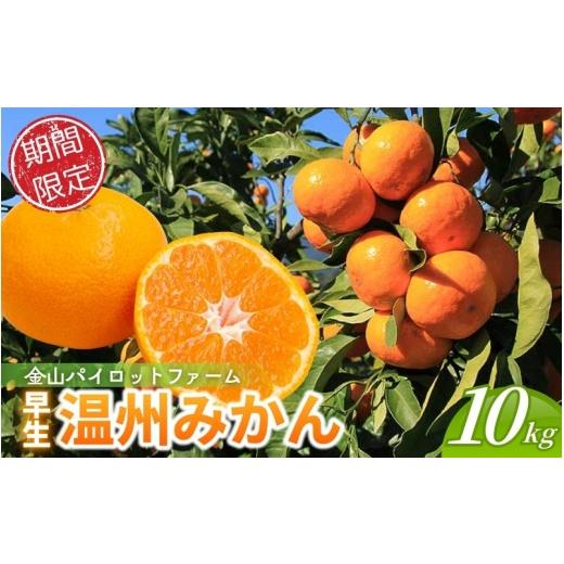 ふるさと納税 果物類 みかん 三重県 熊野市 テレビで紹介されました みかん 金山パイロットファーム 温州みかん 10kg (早生) みかん ミカン 温州みかん 早生…