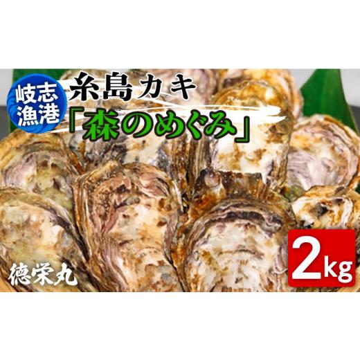 ふるさと納税 牡蠣 生牡蠣 福岡県 糸島市 日時指定可 糸島カキ 2kg 糸島市 / 岐志漁港 牡蠣 殻付き カキ 加熱用 牡蠣 殻付き カキ 加熱用 BBQ バーベキュー …