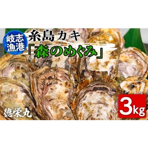 ふるさと納税 牡蠣 生牡蠣 福岡県 糸島市 糸島カキ 3kg 糸島市 / 岐志漁港 徳栄丸 牡蠣 殻付き カキ 加熱用 APD001 日時指定や再送についての記載を確認し、…