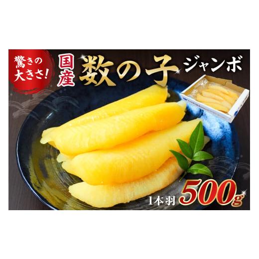ふるさと納税 魚貝類 数の子 千葉県 南房総市 国産 塩数の子ジャンボ(北海道産) 1本羽 500g mi0012-0069 数の子 ニシン ジャンボサイズ 海産物 魚卵 レシピ…