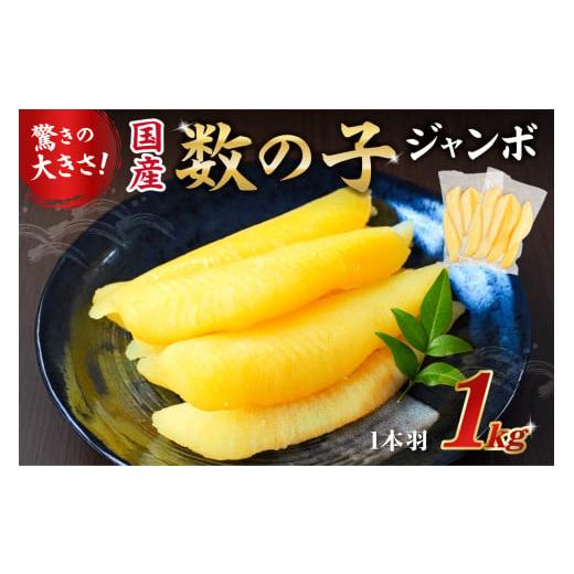 ふるさと納税 魚貝類 数の子 千葉県 南房総市 国産 塩数の子ジャンボ(北海道産) 1本羽 1kg 小分け(500g×2袋) mi0012-0070 数の子 ニシン ジャンボサイ…