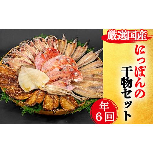 ふるさと納税 干物 アジ 静岡県 西伊豆町 藤文の「にっぽんの干物セット定期便」(年6回) あじ 鯵 金目鯛 いか イカ さば 鯖 真ほっけ かます カマス ひもの…