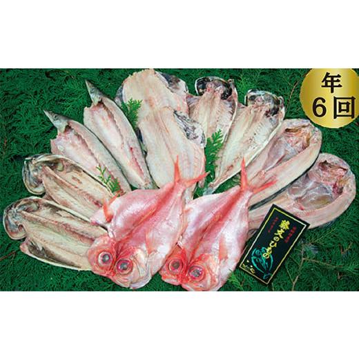 ふるさと納税 干物 アジ 静岡県 西伊豆町 藤文の「びっくり規格外セット定期便」(年6回) あじ 鯵 真ほっけ 赤魚 金目鯛 きんめ かます カマス 鯖 さば 干物…