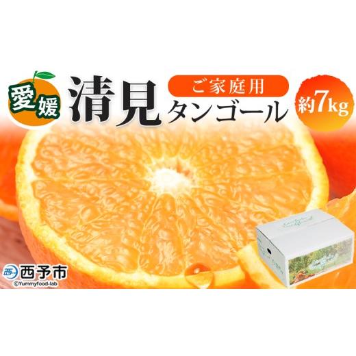 ふるさと納税 みかん・柑橘類 愛媛県 西予市 愛媛県西予市産 清見タンゴール ご家庭用 約7kg 訳あり ワケアリ 果物 フルーツ みかん ミカン 蜜柑 オレンジ き…