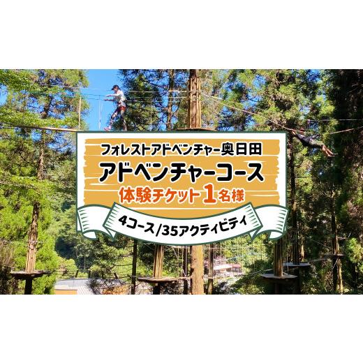 ふるさと納税 大分県 日田市 A-191 アドベンチャーコース体験 1名 4コース/35アクティビティ