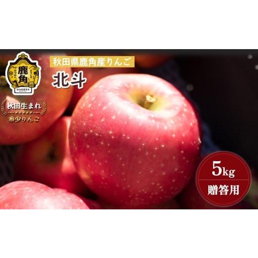 ふるさと納税 りんご 秋田県 鹿角市 [先行予約]秋田県鹿角産りんご 雪国育ちの 贈答用 北斗 5kg(12〜16玉入) 山麓園 ●2025年11月上旬発送開始 秋田県 鹿…