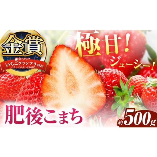 ふるさと納税 いちご 熊本県 玉名市 数量限定 ご家庭用 いちご 肥後こまち 約250g×2パック | 果物 くだもの フルーツ いちご 苺 イチゴ 肥後こまち 家庭用 希…