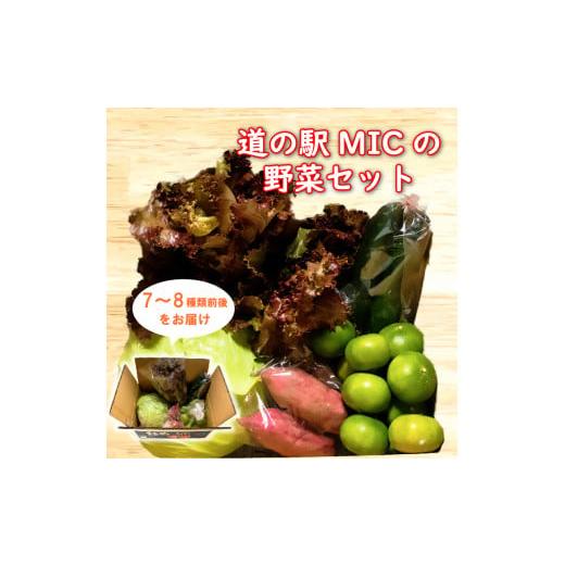 ふるさと納税 セット・詰合せ 愛媛県 愛南町 旬の野菜 セット 7〜8種類前後 野菜 サラダ 新鮮 葉物 根菜 香味 定番野菜 愛媛 愛南 愛南総研 道の駅MICの画像