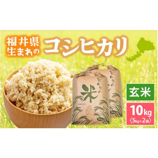 ふるさと納税 米 コシヒカリ 福井県 越前町 新米 令和7年産 コシヒカリ 10kg 福井県産 玄米 お米 こしひかり 10キロ 人気品種 e30-b014