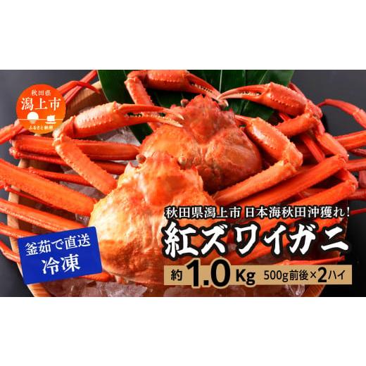 ふるさと納税 秋田県 潟上市 日本海沖産 紅ズワイガニ500g前後×2匹 約1.0kg/冷凍