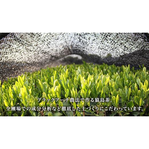 ふるさと納税 茨城県 八千代町 猿島茶使用 アイス ジェラート 12個入 詰め合わせ ( 濃いお茶 ／ 和紅茶 ／ タカミメロン ／ いちご和紅茶 ／ チョコ和紅茶 …