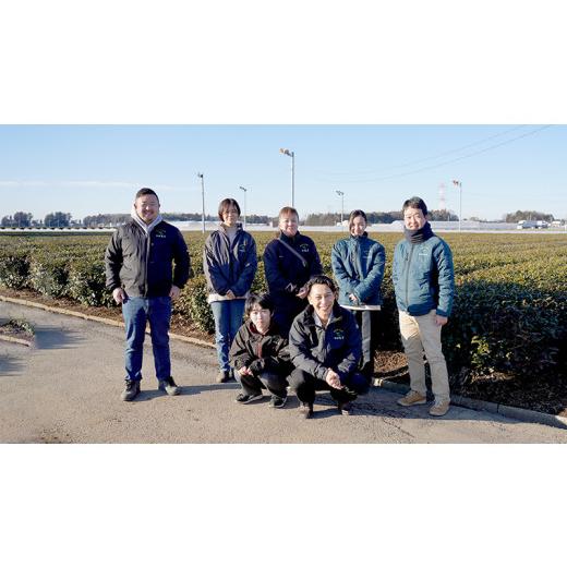 ふるさと納税 茨城県 八千代町 猿島茶使用 アイス ジェラート 12個入 詰め合わせ ( 濃いお茶 ／ 和紅茶 ／ タカミメロン ／ いちご和紅茶 ／ チョコ和紅茶 …