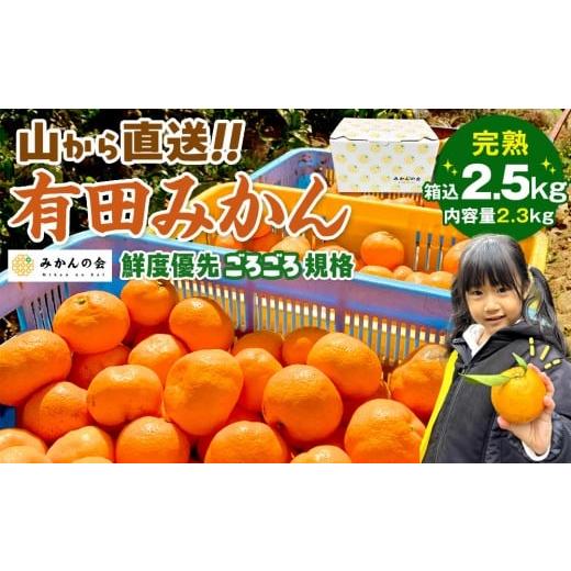 ふるさと納税 果物類 みかん 和歌山県 有田川町 みかん 山から直送 箱込 2.5kg ( 内容量約 2.3kg ) 鮮度優先ごろごろ規格 和歌山県産 産地直送 家庭用[2025年…