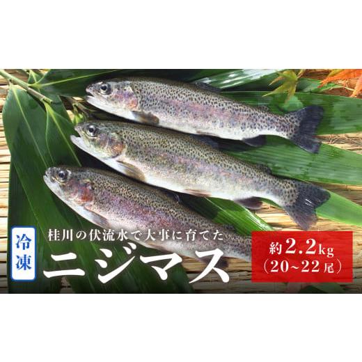 ふるさと納税 川魚 山梨県 大月市 山梨県産　桂川の冷凍ニジマス　計:約2.2kg(約20〜22尾)