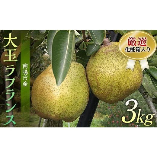 ふるさと納税 梨 山形県 南陽市 令和8年産先行予約 厳選 大玉ラ・フランス 約3kg (6〜8玉 4〜6L) 化粧箱入り [令和8年11月上旬〜発送] 『船中農園』 ラフラ…