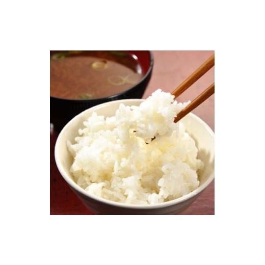 ふるさと納税 米 茨城県 城里町 関東地方限定配送 精米 20kg(5kg×4袋