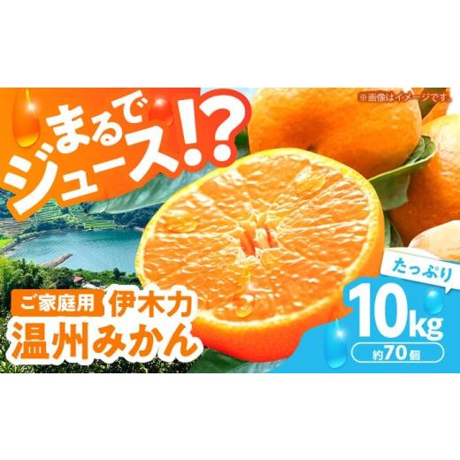 ふるさと納税 果物類 みかん 長崎県 諫早市 2027年1月より順次発送/先行予約 伊木力温州みかん 10kg(ご家庭用)/ みかん ミカン 蜜柑 みかんジュース フル…