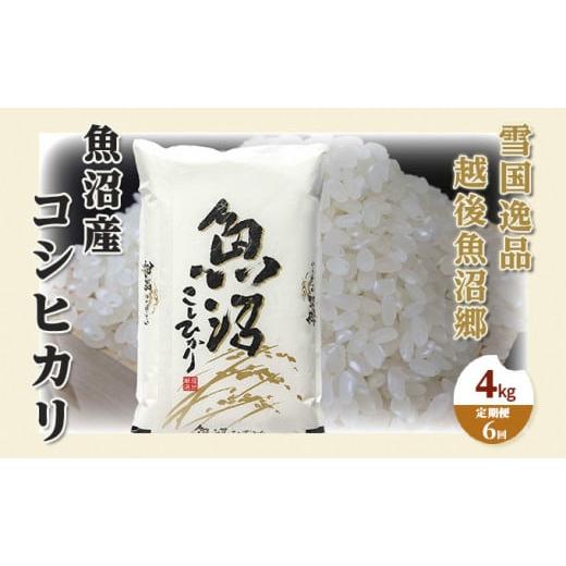 ふるさと納税 新潟県 魚沼市 [No.5762-0963]【定期便：雪国逸品 精米4kg×6ヶ月】越後魚沼郷 魚沼産コシヒカリ｜furusatochoice｜02