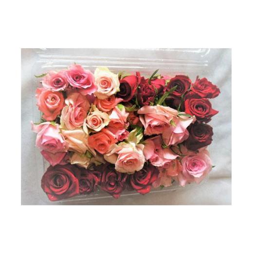 ふるさと納税 雑貨・日用品 花 愛知県 稲沢市 生花フラワーシャワーパック1パック 赤・ピンク系中心 赤・ピンク系中心