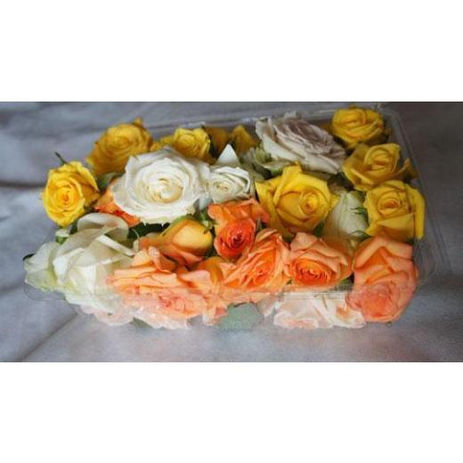 ふるさと納税 雑貨・日用品 花 愛知県 稲沢市 生花フラワーシャワーパック1パック 白・黄色系中心 白・黄色系中心