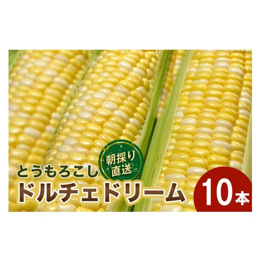 ふるさと納税 山梨県 中央市 [先行予約]とうもろこし ドルチェドリーム 10本 [マルヨシ園芸 山梨県 中央市 21470552] 朝採り 新鮮 期間限定 トウモロコシ 甘…