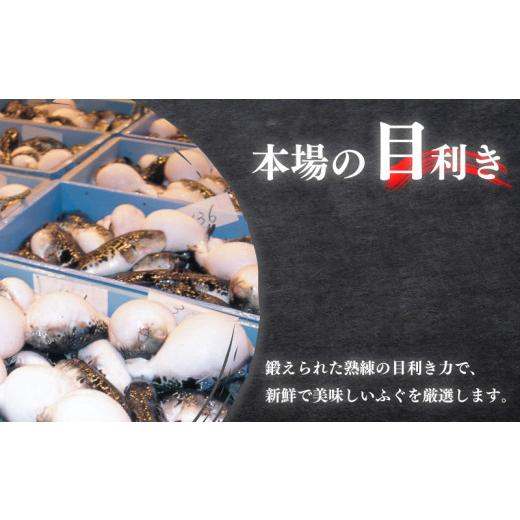 ふるさと納税 フグ 山口県 下関市 冷蔵 国産 天然とらふぐ料理セット 3人前 ふぐ松前付き 下関 山口 ふぐ特集 秋 冬 年末年始 着 《海（かい）：KA》_3