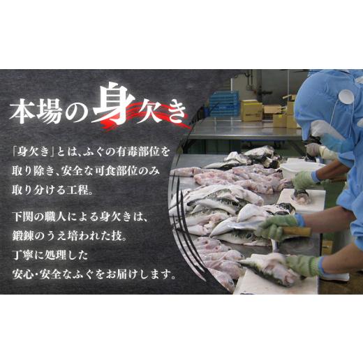 ふるさと納税 フグ 山口県 下関市 冷蔵 国産 天然とらふぐ料理セット 3人前 ふぐ松前付き 下関 山口 ふぐ特集 秋 冬 年末年始 着 《海（かい）：KA》_4