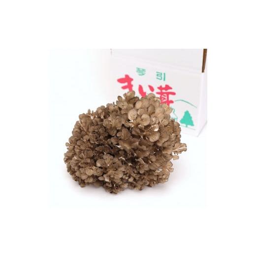 ふるさと納税 島根県 飯南町 琴引舞茸１株 約400ｇ【生舞茸 きのこ キノコ まいたけ マイタケ 舞茸 無農薬 肉厚 天ぷら 炊き込みご飯　プリプリ Ａ-98】｜furusatochoice｜08