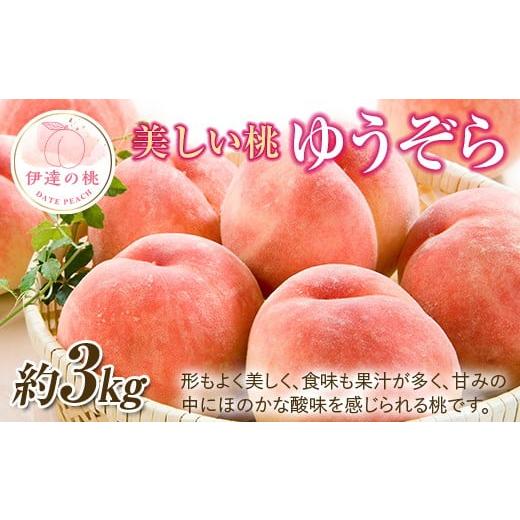 ふるさと納税 もも 福島県 伊達市 2026年出荷分先行予約 福島県産 ゆうぞら 約3kg (約10玉) 一般社団法人つきだて振興公社 小さめ 固め 伊達の桃 桃 フルーツ…