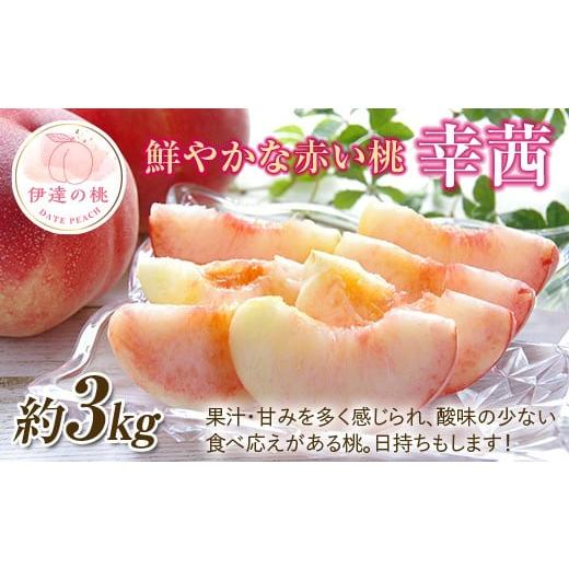 ふるさと納税 もも 福島県 伊達市 2026年出荷分先行予約 福島県産 幸茜 約3kg (約10玉) 一般社団法人つきだて振興公社 大玉 固め 伊達の桃 桃 フルーツ 果物 …