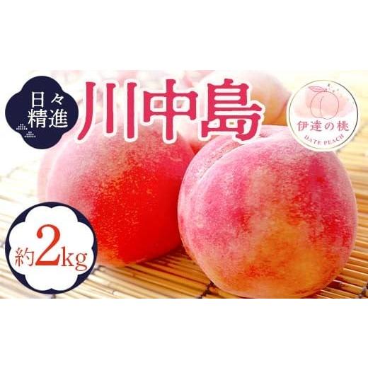 ふるさと納税 もも 福島県 伊達市 2026年出荷分先行予約 福島県産 川中島白桃 約2kg (5〜9玉) 酒井 幸吉 白桃 大玉 伊達の桃 桃 フルーツ 果物 もも モモ mom…