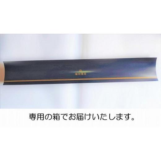 ふるさと納税 小物 山梨県 富士河口湖町 槙田商店 長傘 スティグリンドベリ HERBARIUM ブルー(ハーバリウム) 晴雨兼用の画像