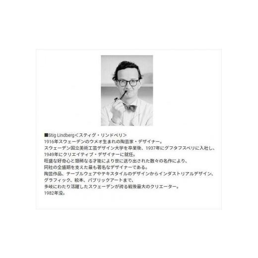 ふるさと納税 小物 山梨県 富士河口湖町 槙田商店 長傘 スティグリンドベリ HERBARIUM レッド(ハーバリウム) 晴雨兼用の画像