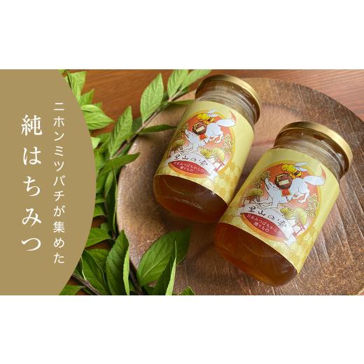 ふるさと納税 加工品等 はちみつ 島根県 津和野町 津和野の木や花の蜜を集めた天然百花蜜「里山の雫」(315g×2瓶) 1354901_1