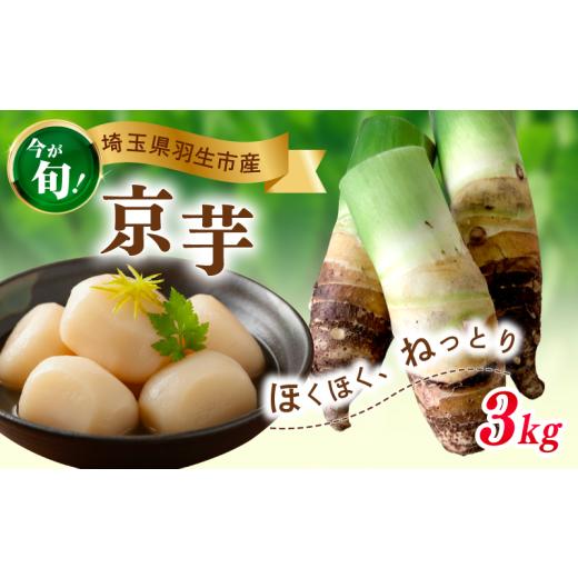 ふるさと納税 人参・大根・他根菜 埼玉県 羽生市 たけのこ芋 京芋 3kg 数量限定 期間限定 野菜 里芋 八つ頭 筍芋 京いも 産地直送 埼玉県 羽生市 3kg (4個〜6…