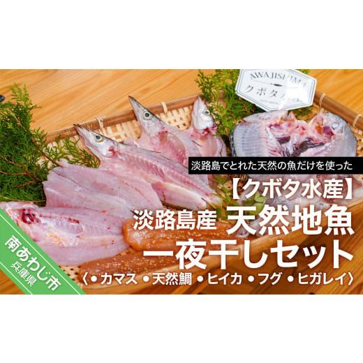 ふるさと納税 魚貝類 兵庫県 南あわじ市 (淡路島産)天然地魚一夜干しセット