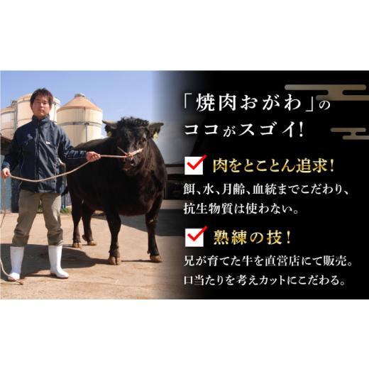 ふるさと納税 長崎県 小値賀町 【6回定期便】長崎和牛 肩ロース 薄切り（すき焼き・しゃぶしゃぶ）800g 《小値賀町》【焼肉おがわ】 [DBJ010] 肉 和牛 黒毛和…