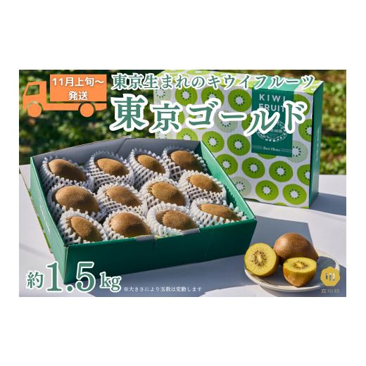 ふるさと納税 果物類 東京都 立川市 2026年11月上旬〜順次発送 東京オリジナルキウイ「東京ゴールド」約1.5kg
