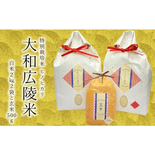 ふるさと納税 米 ヒノヒカリ 奈良県 広陵町 [新米] 令和7年度産 11月下旬より順次発送予定 特別栽培米 奈良県広陵町産ヒノヒカリ 白米2kg×2 玄米500gセ…