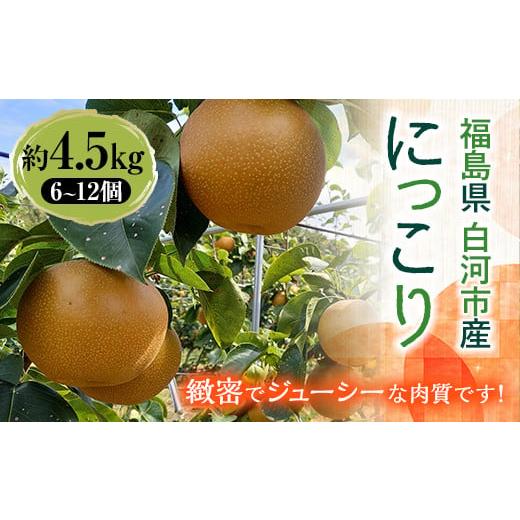 ふるさと納税 梨 福島県 白河市 有機肥料 低農薬栽培の梨 にっこり 約4.5kg F21R-802