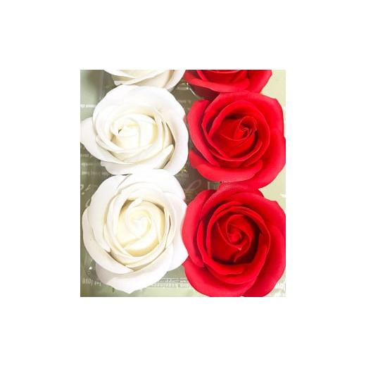 ふるさと納税 花・苗木 福岡県 苅田町 赤×白:Flower balloon ( フラワー バルーン ) ソープ フラワー 5本 置き型タイプ 韓国 お花 贈り物 赤×白
