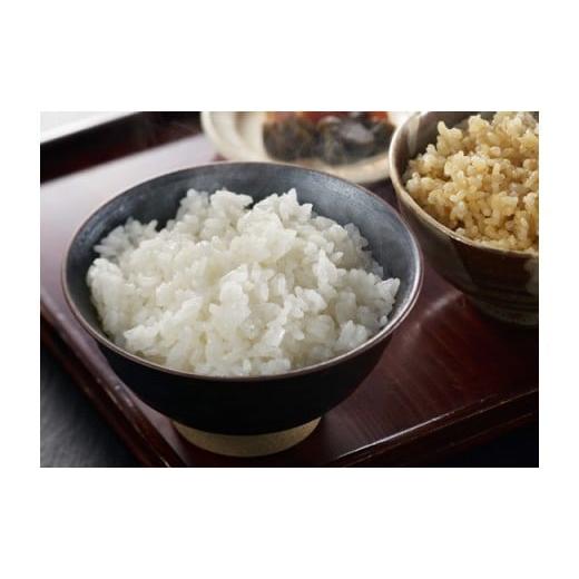 ふるさと納税 新潟県 柏崎市 【五ツ星お米マイスター厳選の定期便・2月〜発送】コシヒカリ・新之助 白米 各5kg×9回（合計 90kg）[S004] 食品 米、雑穀、粉類 米、ごはん