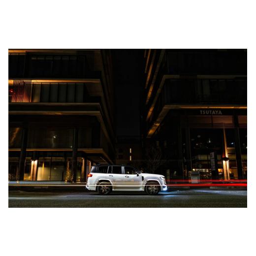 ふるさと納税 雑貨・日用品 大阪府 阪南市 トヨタ 300系