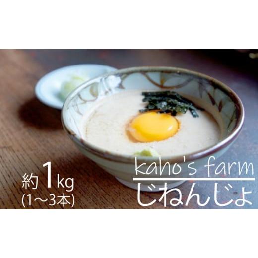 ふるさと納税 野菜類 茨城県 高萩市 自然薯 約1kg