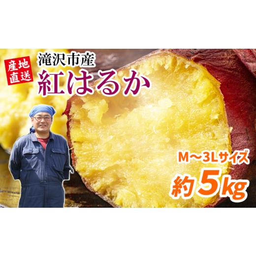 ふるさと納税 野菜類 サツマイモ 岩手県 滝沢市 さつまいも 紅はるか 5kg 駿河農園ベジスル / サツマイモ さつま芋 薩摩芋 5キロ 5キロ 5kg 5000g M L LL…