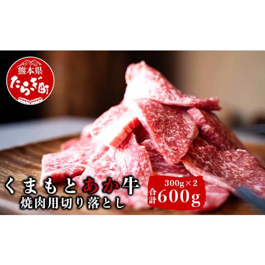 ふるさと納税 熊本県 多良木町 [あか牛] くまもとあか牛 焼肉用 切り落とし 計600g [300g×2パック] 小分け 赤身 熊本県産 GI認証取得 和牛 焼肉 ヘルシ…