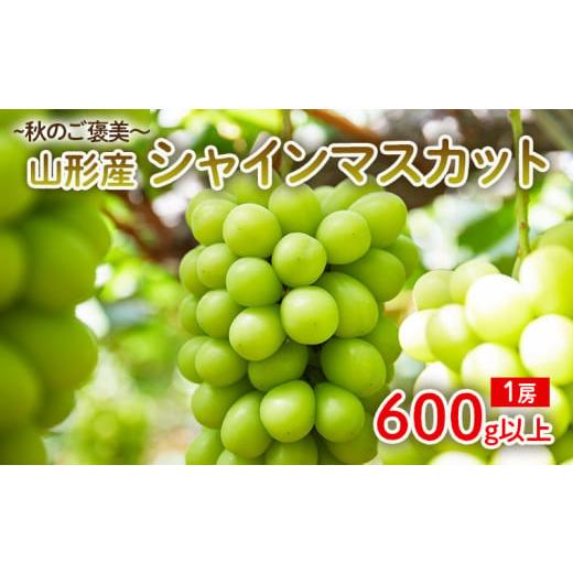 ふるさと納税 ぶどう マスカット 山形県 山形市 〜秋のご褒美〜シャインマスカット1房 600g以上 令和8年産先行予約 FU22-016 くだもの 果物 フルーツ 山形 山…