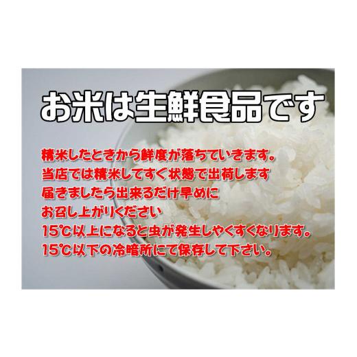 ふるさと納税 岩手県 大槌町 【定期便／12ヵ月】令和5年産岩手県産ひとめぼれ10kg｜furusatochoice｜03