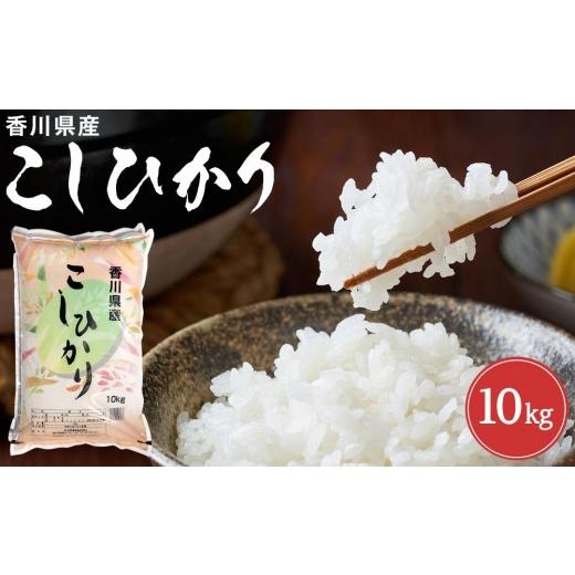 ふるさと納税 米 コシヒカリ 香川県 坂出市 寄附額改定 令和7年度 香川県産コシヒカリ10kg